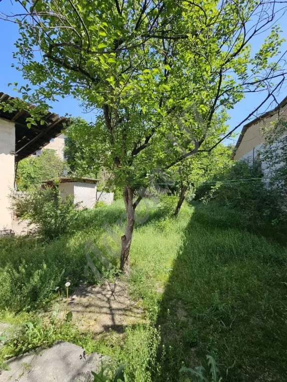 Участок под застройку Мирзо-улугбекский район Агрошкола