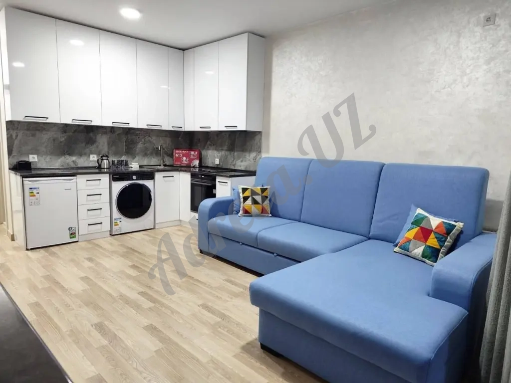 Аренда 1 комнатной квартиры Махтумкули